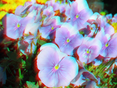 Color Offset